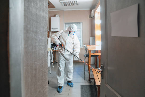 Best Comprehensive Air Testing for Mold Contaminants  in Vineyards, FL
