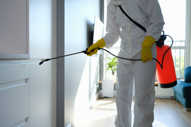 Best Mold Removal for HVAC Installations  in Vineyards, FL