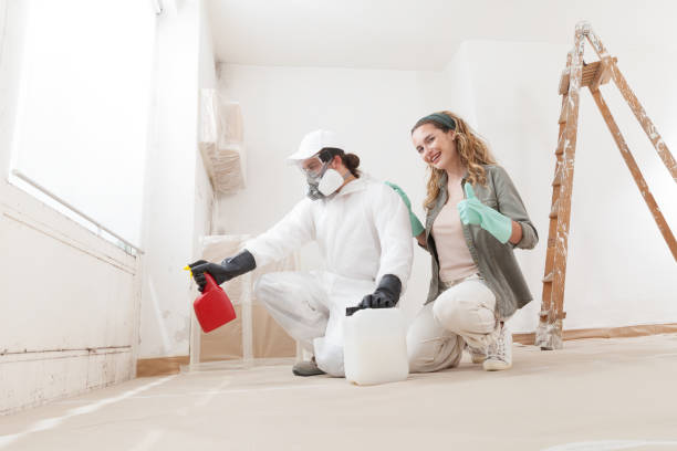 Best Post-Construction Mold Inspection  in Vineyards, FL